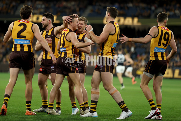 AFL 2025 Round 20 - Hawthorn v Carlton - A-60718842
