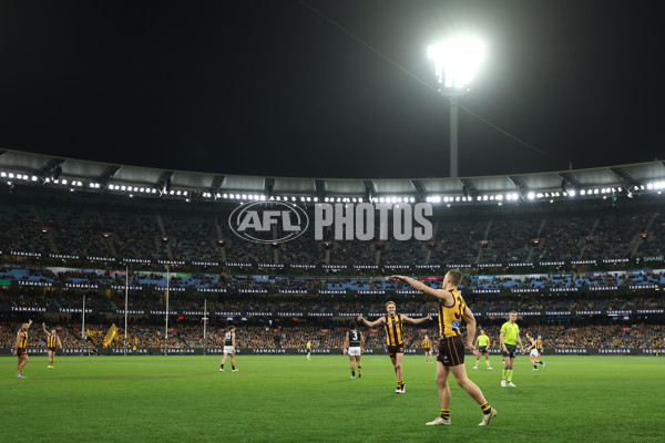 AFL 2025 Round 20 - Hawthorn v Carlton - A-60718843