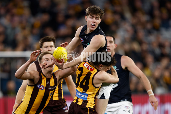 AFL 2025 Round 20 - Hawthorn v Carlton - A-60718850
