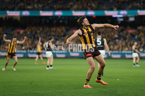 AFL 2025 Round 20 - Hawthorn v Carlton - A-60718862