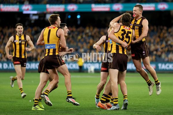 AFL 2025 Round 20 - Hawthorn v Carlton - A-60718872