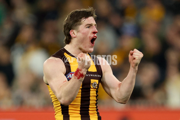 AFL 2025 Round 20 - Hawthorn v Carlton - A-60721002