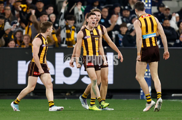 AFL 2025 Round 20 - Hawthorn v Carlton - A-60721007