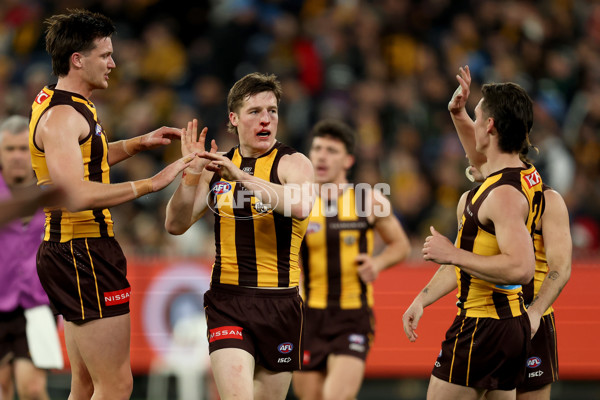 AFL 2025 Round 20 - Hawthorn v Carlton - A-60721042