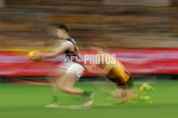 AFL 2025 Round 20 - Hawthorn v Carlton - A-60721303