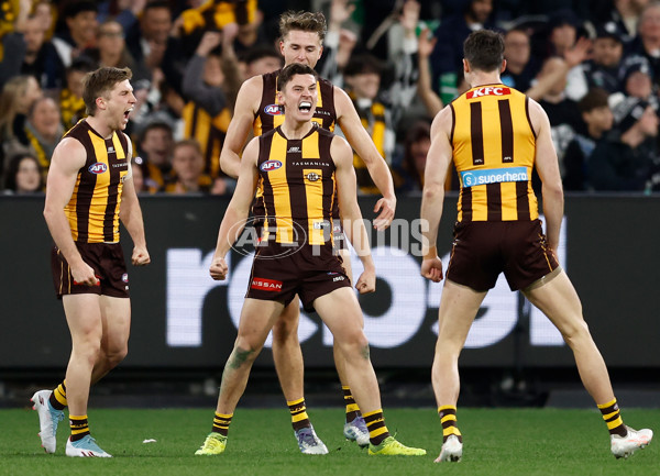 AFL 2025 Round 20 - Hawthorn v Carlton - A-60721312