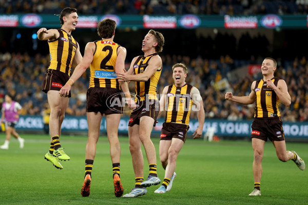 AFL 2025 Round 20 - Hawthorn v Carlton - A-60721318