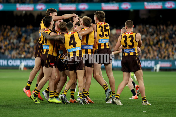 AFL 2025 Round 20 - Hawthorn v Carlton - A-60721319