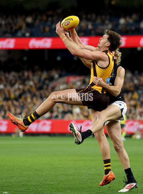 AFL 2025 Round 20 - Hawthorn v Carlton - A-60721322