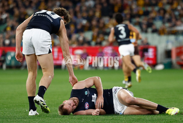 AFL 2025 Round 20 - Hawthorn v Carlton - A-60721327