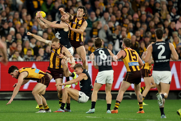 AFL 2025 Round 20 - Hawthorn v Carlton - A-60721349