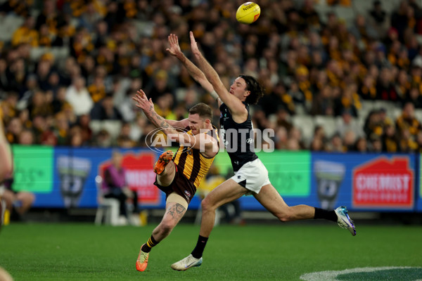 AFL 2025 Round 20 - Hawthorn v Carlton - A-60721362
