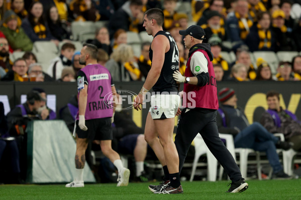 AFL 2025 Round 20 - Hawthorn v Carlton - A-60721381