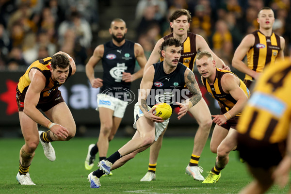 AFL 2025 Round 20 - Hawthorn v Carlton - A-60721384