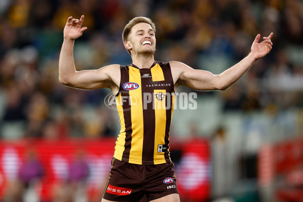 AFL 2025 Round 20 - Hawthorn v Carlton - A-60721386