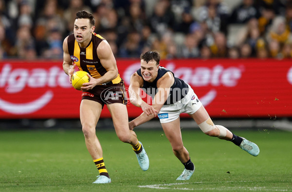 AFL 2025 Round 20 - Hawthorn v Carlton - A-60723845