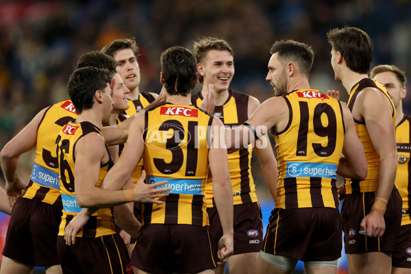 AFL 2025 Round 20 - Hawthorn v Carlton - A-60723868