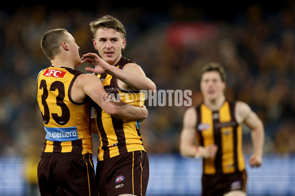 AFL 2025 Round 20 - Hawthorn v Carlton - A-60723871