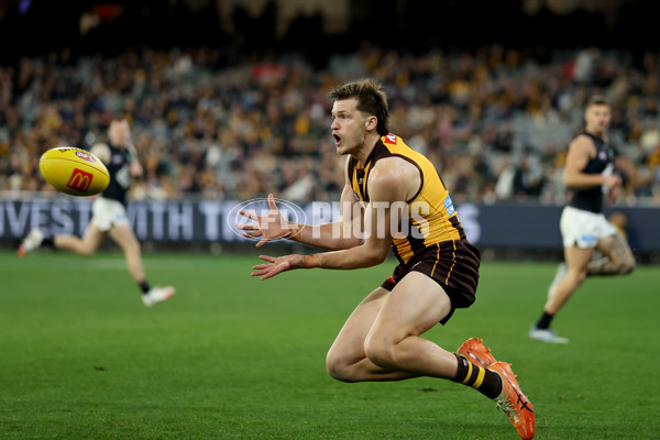 AFL 2025 Round 20 - Hawthorn v Carlton - A-60723876