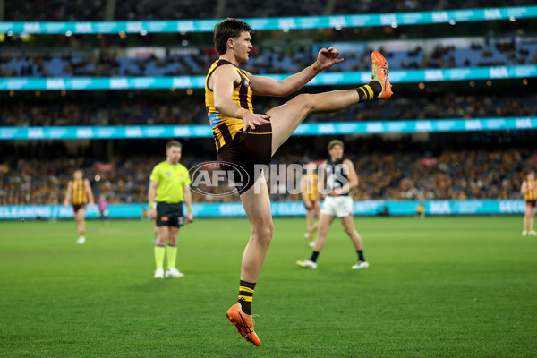 AFL 2025 Round 20 - Hawthorn v Carlton - A-60723877