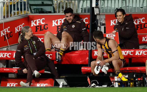 AFL 2025 Round 20 - Hawthorn v Carlton - A-60723880