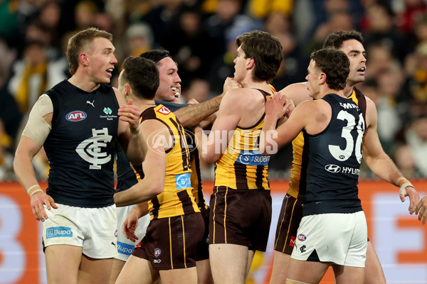 AFL 2025 Round 20 - Hawthorn v Carlton - A-60723889