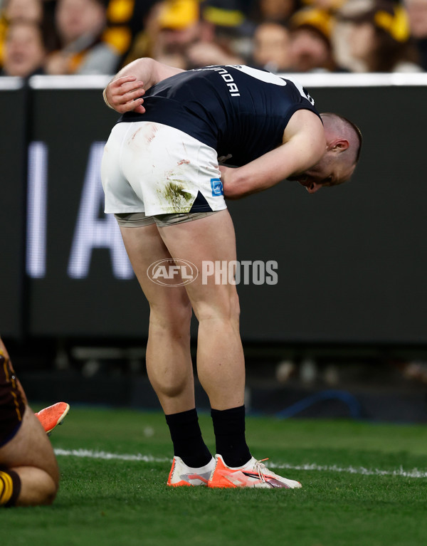 AFL 2025 Round 20 - Hawthorn v Carlton - A-60723899