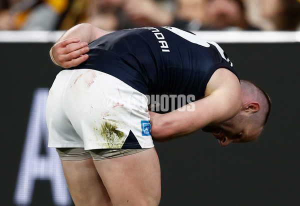 AFL 2025 Round 20 - Hawthorn v Carlton - A-60723901