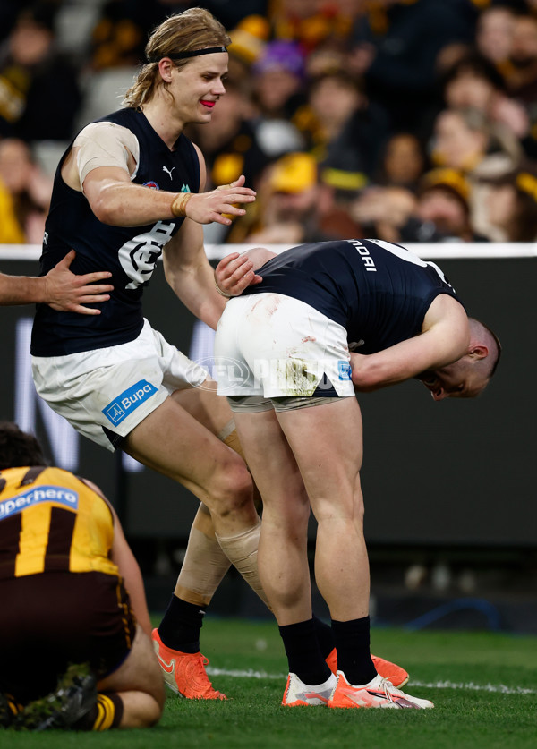 AFL 2025 Round 20 - Hawthorn v Carlton - A-60723906