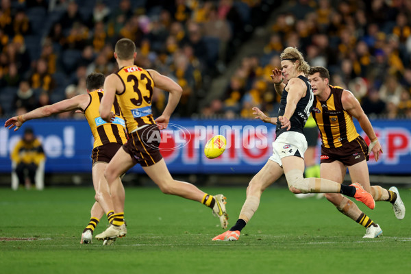 AFL 2025 Round 20 - Hawthorn v Carlton - A-60723918