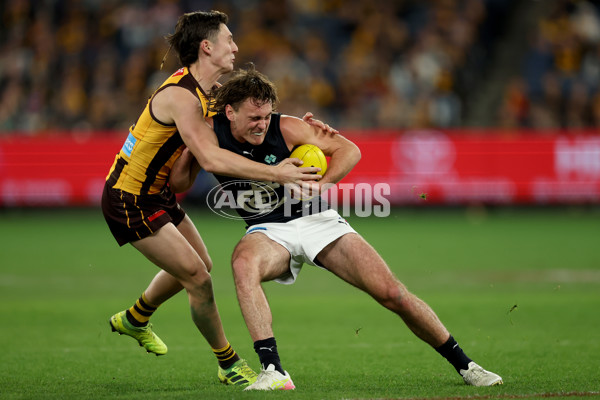 AFL 2025 Round 20 - Hawthorn v Carlton - A-60723919