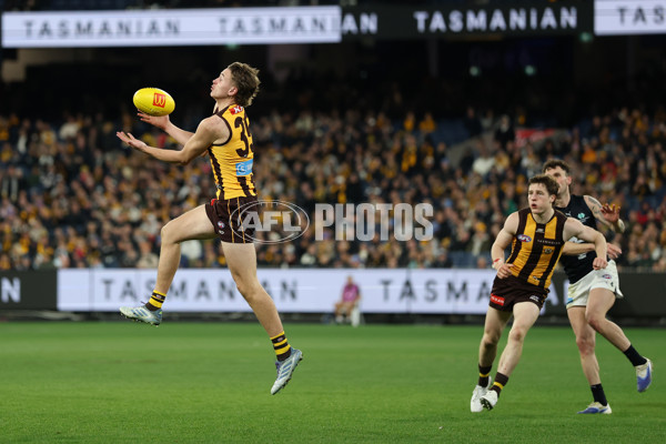 AFL 2025 Round 20 - Hawthorn v Carlton - A-60724261