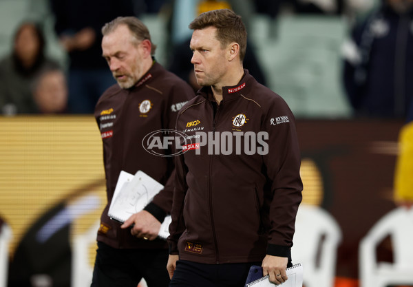 AFL 2025 Round 20 - Hawthorn v Carlton - A-60726477