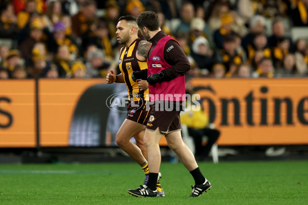 AFL 2025 Round 20 - Hawthorn v Carlton - A-60726495