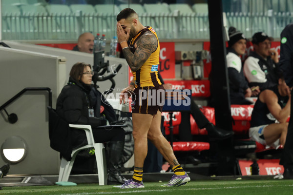 AFL 2025 Round 20 - Hawthorn v Carlton - A-60726496