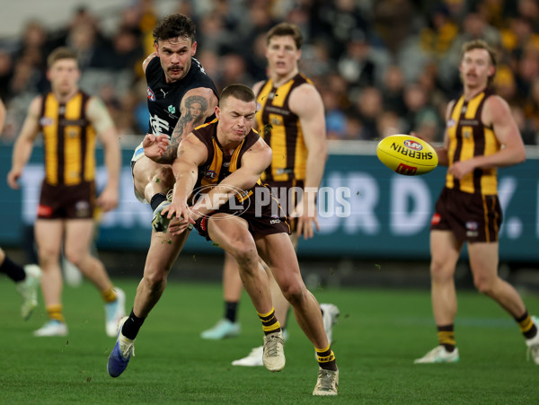 AFL 2025 Round 20 - Hawthorn v Carlton - A-60726775