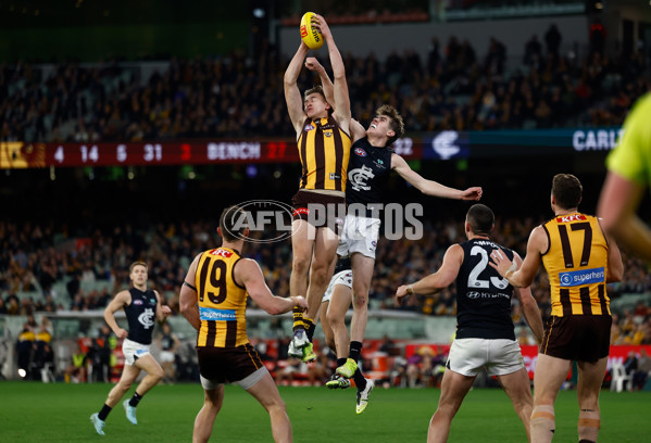 AFL 2025 Round 20 - Hawthorn v Carlton - A-60726776