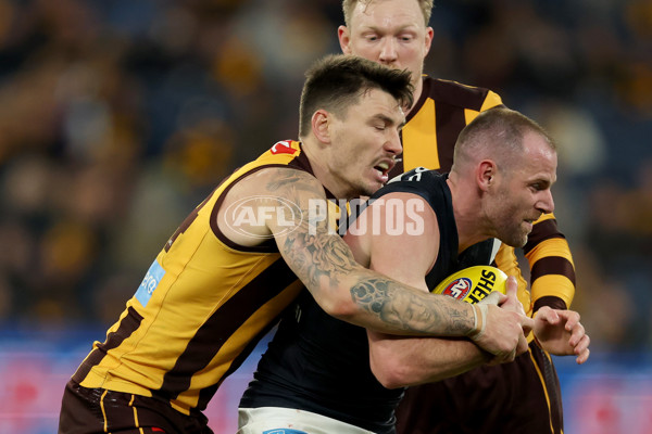 AFL 2025 Round 20 - Hawthorn v Carlton - A-60726795