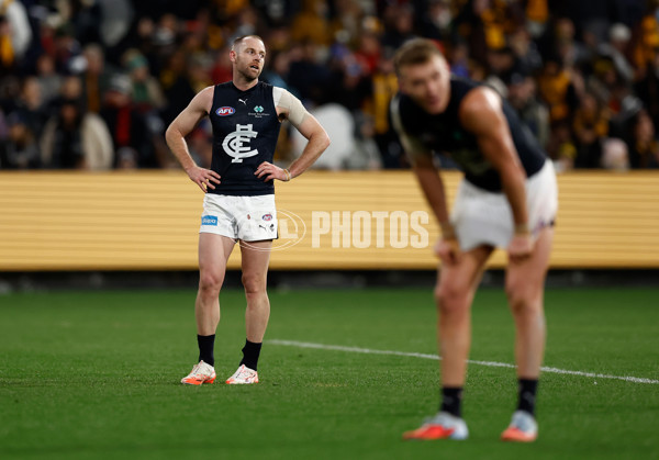 AFL 2025 Round 20 - Hawthorn v Carlton - A-60729206