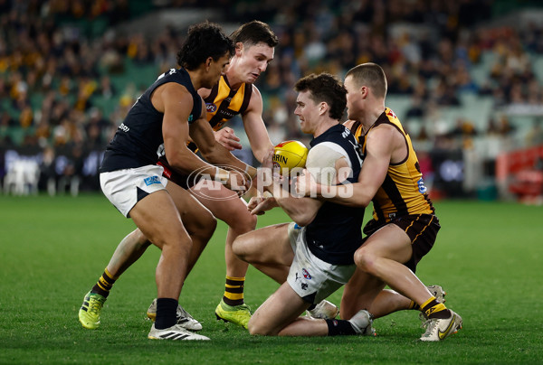 AFL 2025 Round 20 - Hawthorn v Carlton - A-60729316