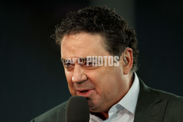 AFL 2025 Round 20 - Essendon v Western Bulldogs - A-60729352