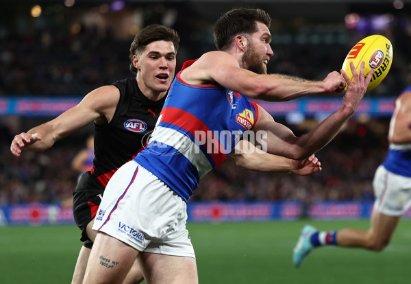 AFL 2025 Round 20 - Essendon v Western Bulldogs - A-60731691