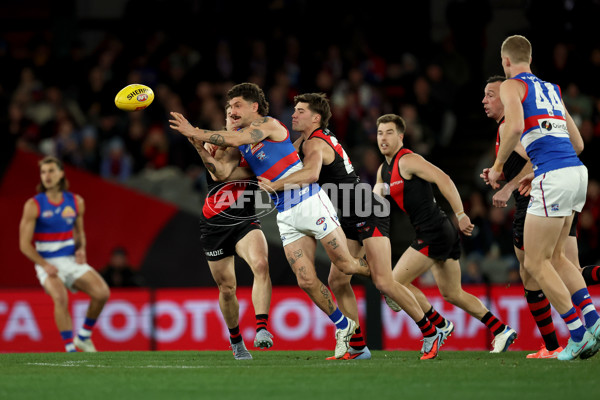AFL 2025 Round 20 - Essendon v Western Bulldogs - A-60734312