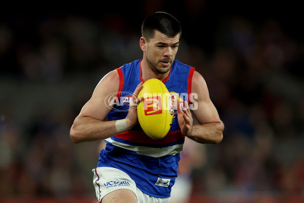 AFL 2025 Round 20 - Essendon v Western Bulldogs - A-60737013