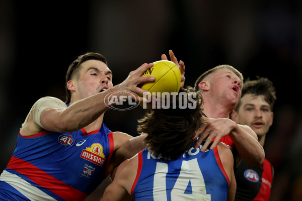 AFL 2025 Round 20 - Essendon v Western Bulldogs - A-60747890
