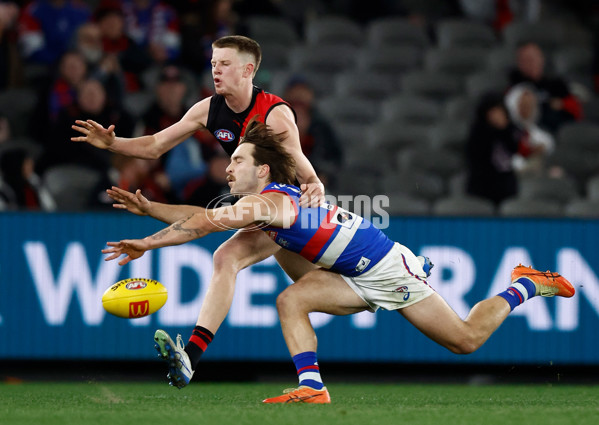 AFL 2025 Round 20 - Essendon v Western Bulldogs - A-60751049