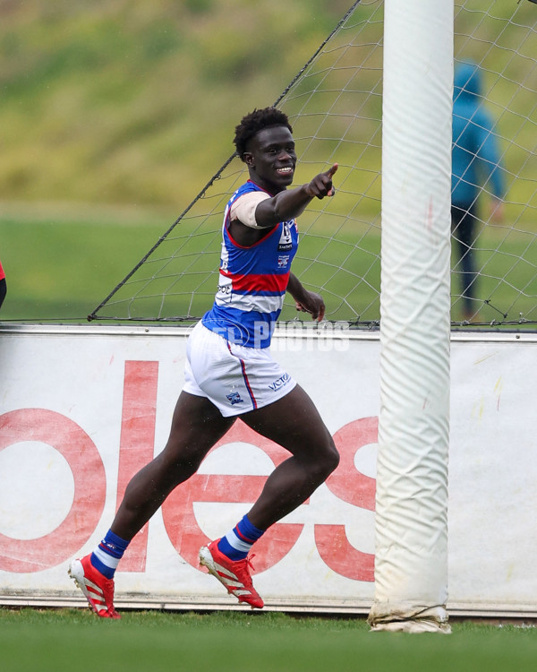 VFL 2025 Round 18 - Essendon v Footscray Bulldogs - A-60753405