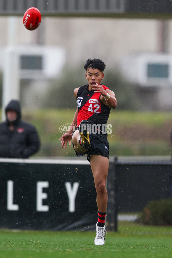 VFL 2025 Round 18 - Essendon v Footscray Bulldogs - A-60753407
