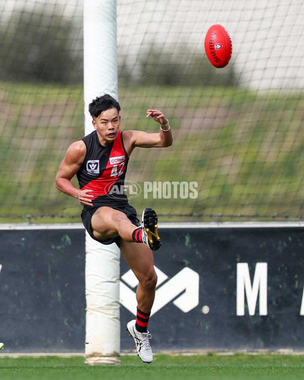 VFL 2025 Round 18 - Essendon v Footscray Bulldogs - A-60753992