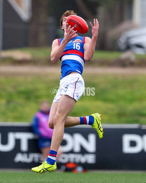 VFL 2025 Round 18 - Essendon v Footscray Bulldogs - A-60753994